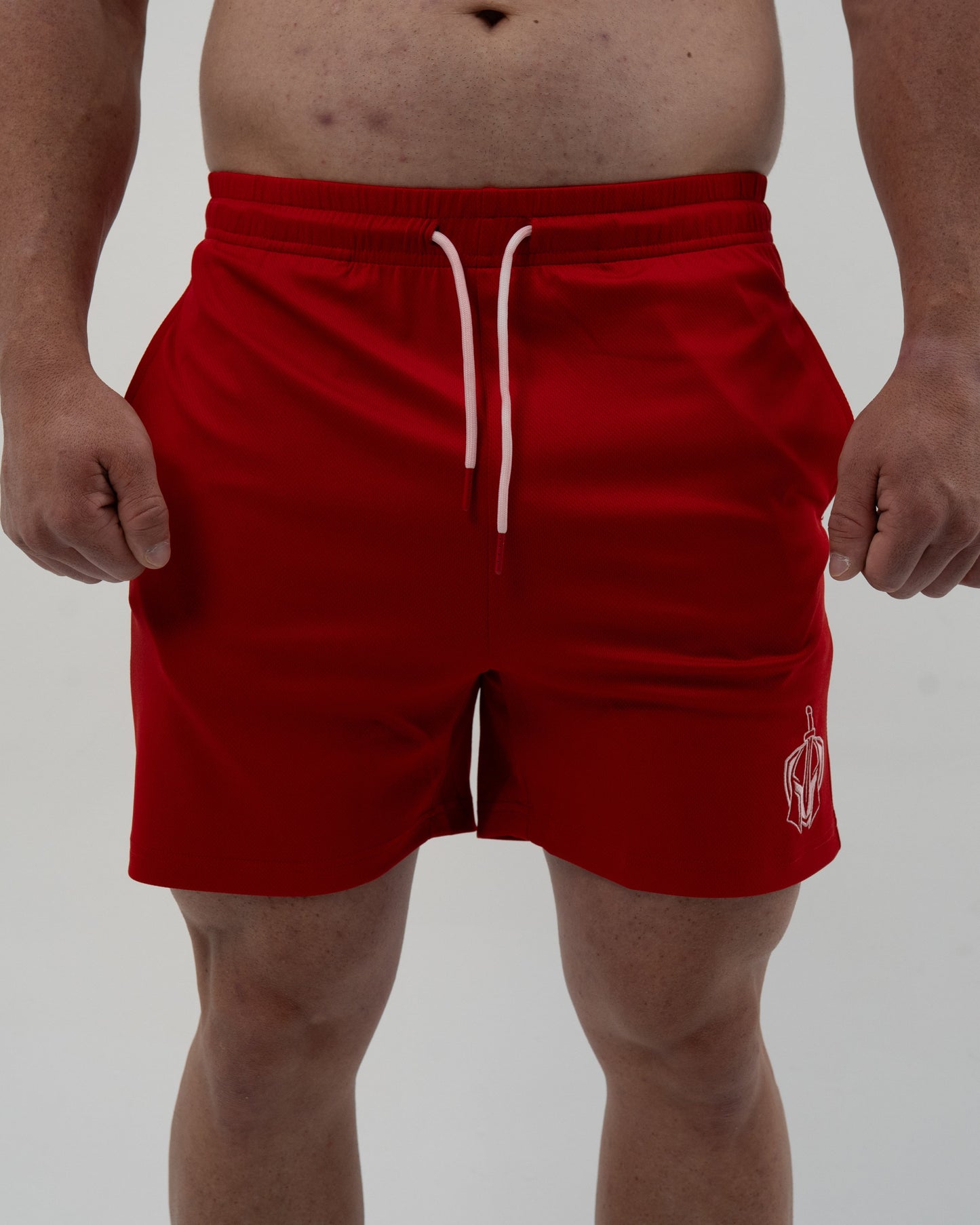 Badge 5in Mesh Shorts