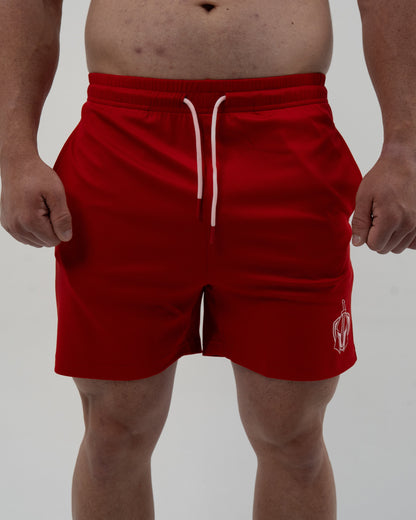 Badge 5in Mesh Shorts