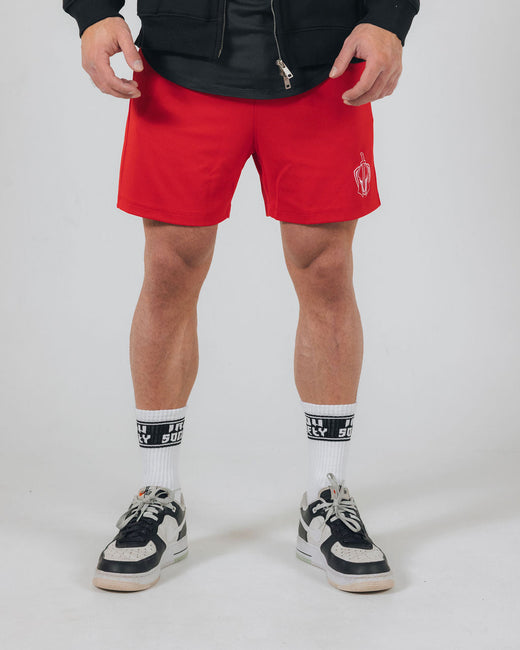 Badge 5in Mesh Shorts