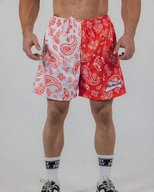 Merica Paisley 5in Short