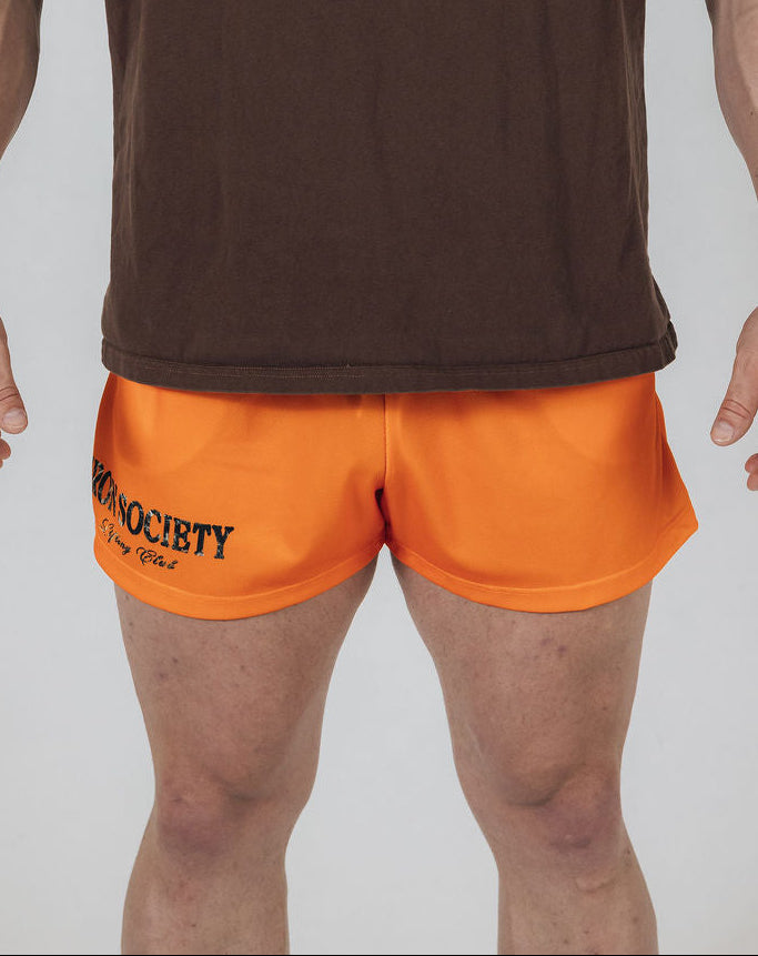 Lifting Club Mesh Shorts 3in